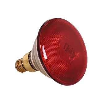 Lampe chauffante - 0,6 KG - 220 - 240 V - 175 W - Verre - Rouge - 093500 093500 €15.95 Lampe chauffante